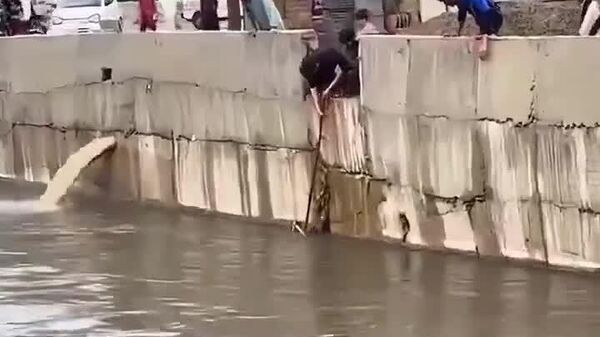 #viral | A Man Rescues a Cat from a Swollen River in Flood-Ravaged Pakistani City - Sputnik Africa