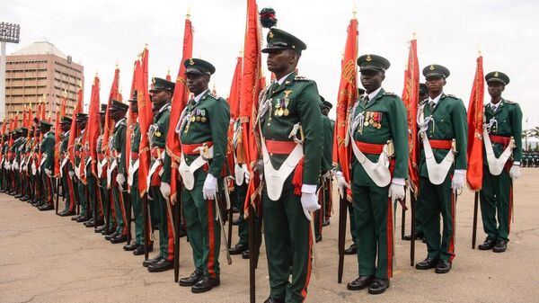 Nigerien Army Has the Necessary Combat Experience to Achieve Its Objectives, Expert Says - Sputnik Africa