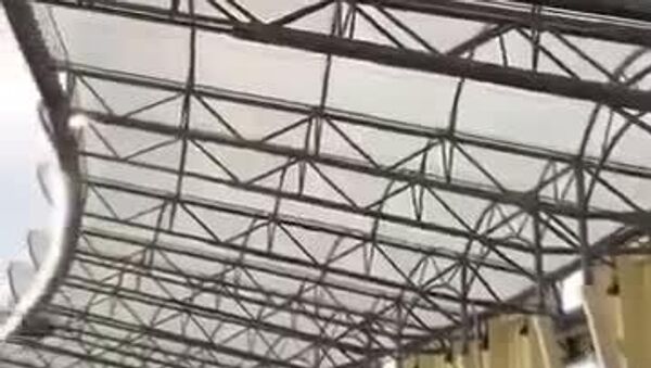 Un supporter kenyan a littéralement atteint des sommets lors du match CHAN contre Madagascar - Sputnik Afrique