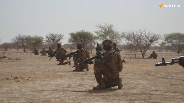 Boko Haram* décapité: l'armée nigérienne possède l'expérience du combat - Sputnik Afrique