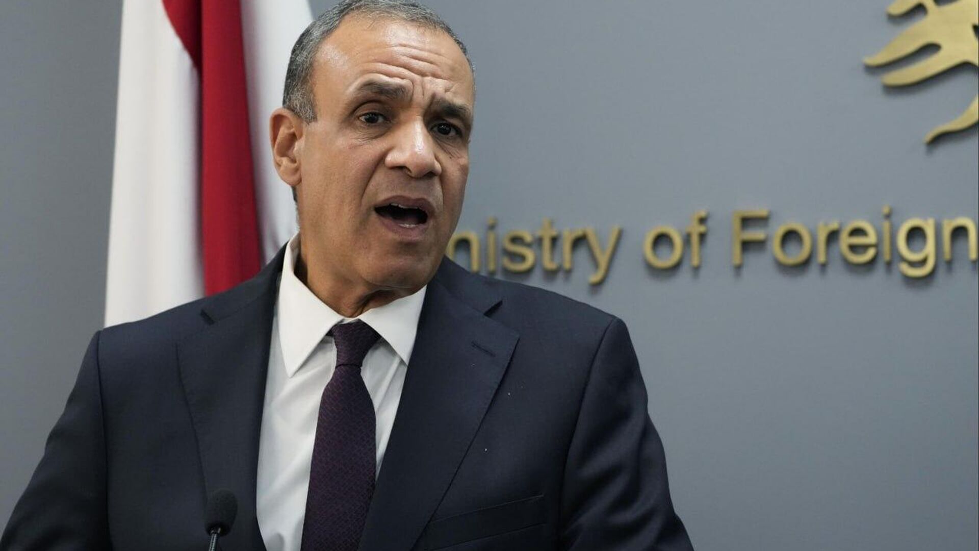 Egypt Will Not Allow Implementation of 'Illusions' About 'Greater Israel,' FM Says Egypt Will Not Allow Implementation of 'Illusions' About 'Greater Israel,' FM Says - Sputnik Africa, 1920, 26.08.2025