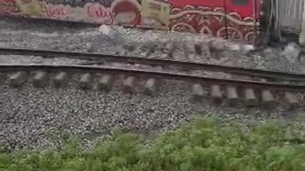 Passenger Train Derails in Nigeria — No Casualties Reported Yet - Sputnik Africa