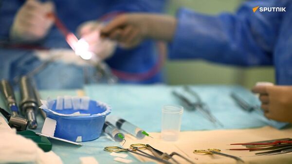 Genetically Modified Pig Lung Successfully Transplanted Into Human for the First Time in History - Sputnik Africa
