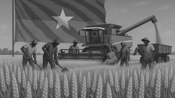 Blé au Burkina: On se rend compte que quand on veut, on peut - Sputnik Afrique