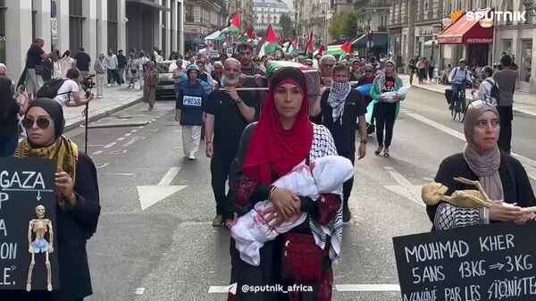 'Stop the Final Solution': French Protesters Oppose Israeli Operation in Gaza - Sputnik Africa