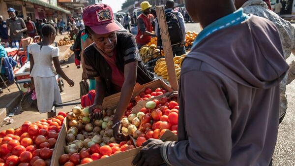 Zimbabwe Sees Significant Inflation Slowdown as Currency Reforms Take Hold - Sputnik Africa
