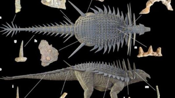 Spicomellus: Oldest & Most Elaborately Armored Ankylosaur - Sputnik Africa