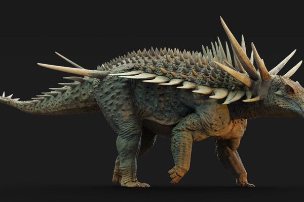 Spicomellus: Oldest & Most Elaborately Armored Ankylosaur Spicomellus: Oldest & Most Elaborately Armored Ankylosaur - Sputnik Africa