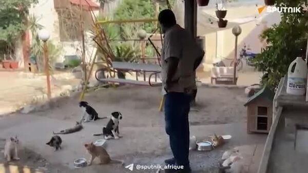 ▶ Au cœur de l'horreur, une compassion à toute épreuve: à Gaza, la dernière nourriture se partage avec les animaux - Sputnik Afrique