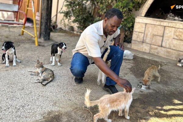 ▶ Au cœur de l'horreur, une compassion à toute épreuve: à Gaza, la dernière nourriture se partage avec les animaux - Sputnik Afrique