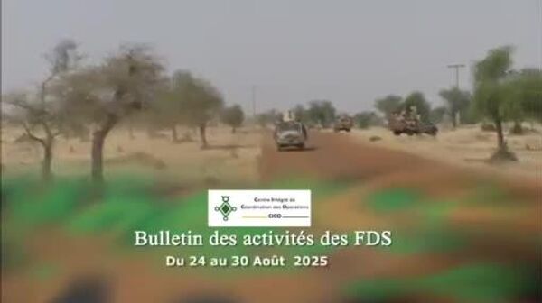 ▶ Les forces nigériennes frappent fort: embuscade déjouée, explosifs neutralisés et 13 - Sputnik Afrique