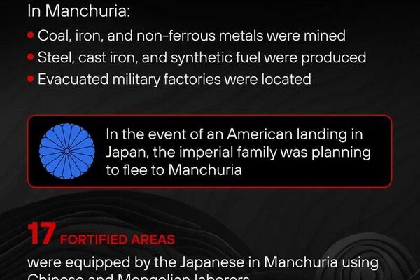 Soviet-Japanese War Ended 80 Years Ago – The Final Chapter of WWII Soviet-Japanese War Ended 80 Years Ago – The Final Chapter of WWII - Sputnik Africa