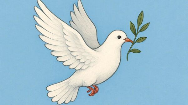 Indice mondial de la paix: Maurice et Madagascar mènent la danse en Afrique - Sputnik Afrique