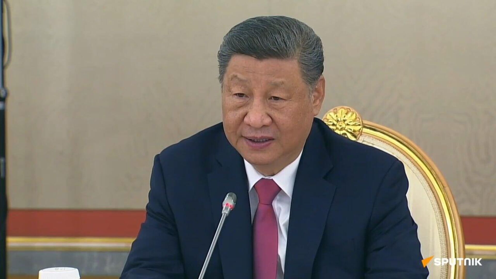 L'humanité doit coexister pacifiquement et ne jamais revenir à la loi de la jungle - Xi Jinping L'humanité doit coexister pacifiquement et ne jamais revenir à la loi de la jungle - Xi Jinping - Sputnik Afrique, 1920, 03.09.2025