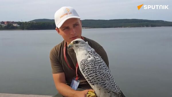 ▶ Un rapace russe vole la vedette lors de la Journée du faucon au Forum économique oriental - Sputnik Afrique