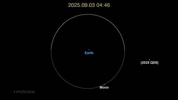 #viral | 22-Meter Space Rock Skims Past Earth at Half the Moon’s Distance - Sputnik Africa