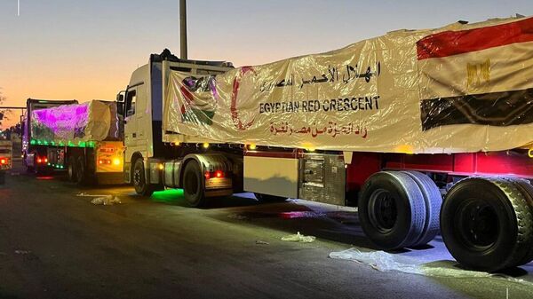 Egypt Sends 2,750 Tonnes of Aid to Gaza: Gov't - Sputnik Africa