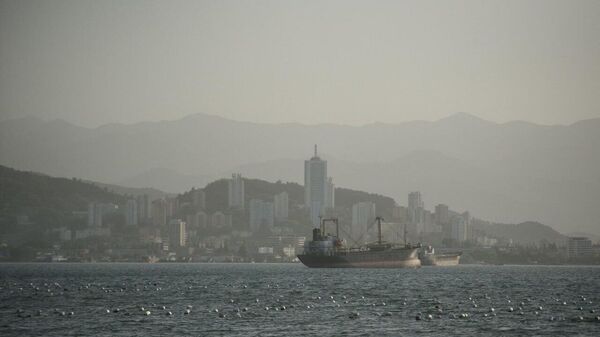 ​​ Russia’s Far East growth supercharged by Asian ties – analyst - Sputnik Africa