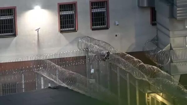 #viral | Failed Escape From German Prison: Unfortunate Youth Gets Stuck in Barbed Wire Fence - Sputnik Africa
