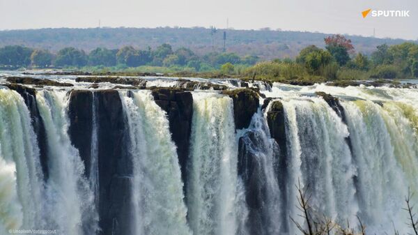 Le Zimbabwe lutte contre le commerce illicite des ressources naturelles, selon les médias - Sputnik Afrique