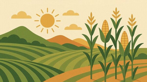Agriculture Network for Local Council Managers Launched in Malawi - Sputnik Africa
