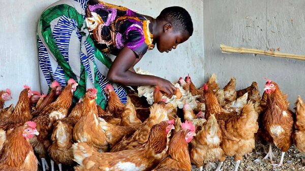 Le Malawi reconstruit sa gestion agricole - Sputnik Afrique