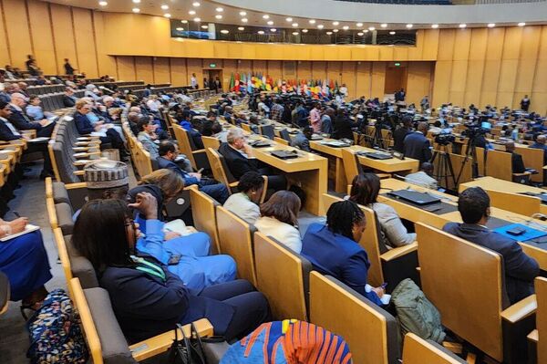 Le deuxième sommet Afrique-CARICOM s'ouvre à Addis-Abeba - Sputnik Afrique