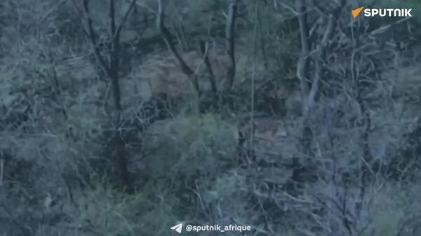 ▶ Les forces armées russes frappent un poste de contrôle de drones ukrainien - Sputnik Afrique