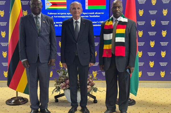 Zimbabwe Seeks Belarus's Anti-Corruption Expertise, Says Zimbabwean Official Zimbabwe Seeks Belarus's Anti-Corruption Expertise, Says Zimbabwean Official - Sputnik Africa