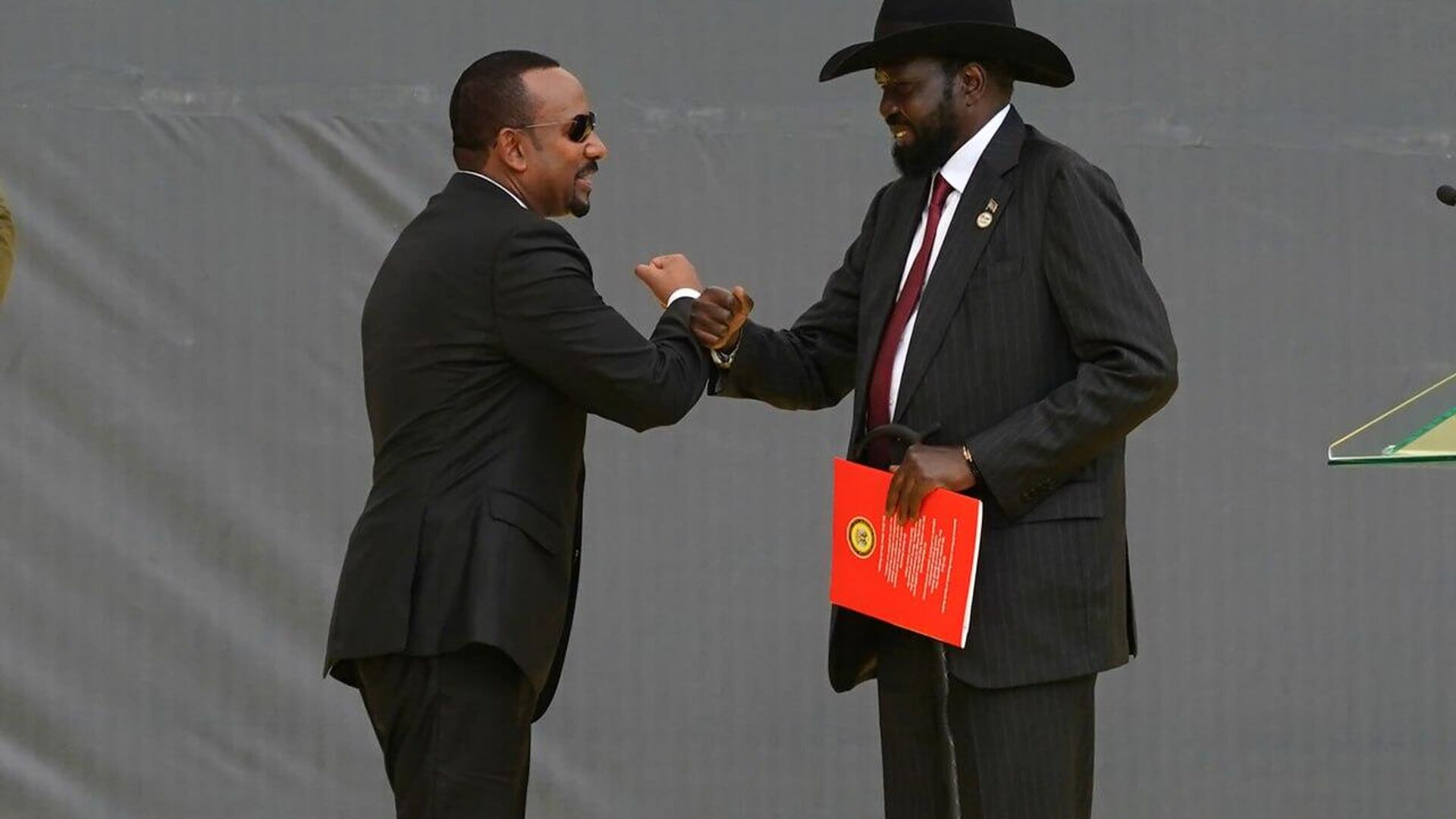 South Sudan Seeks to Receive Power From GERD, Says President Kiir, Hailing Dam as Symbol of Unity and Progress - Sputnik Africa, 1920, 09.09.2025