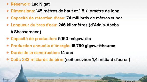 Le Grand Barrage de la Renaissance, pomme de discorde entre l'Égypte et l'Éthiopie: voici un retour en chiffres sur ce projet - Sputnik Afrique