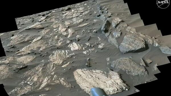 Traces of Ancient Life Found on Mars, NASA Scientists Believe - Sputnik Africa