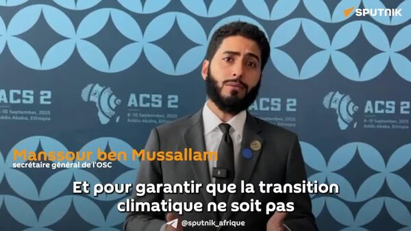 La transition climatique doit être le moteur d'un développement authentique, selon le secrétaire général de l'Organisation de Coopération du Sud - Sputnik Afrique