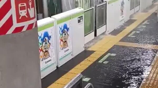 Tokyo déborde à cause des pluies - Sputnik Afrique