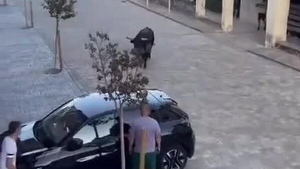 Faute de matador, un taureau se défoule sur… une voiture - Sputnik Afrique