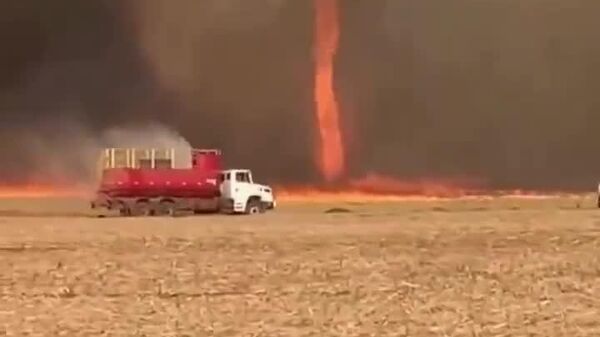 #viral | Massive 'Fire Whirl' on a Sugarcane Plantation in Brazil - Sputnik Africa