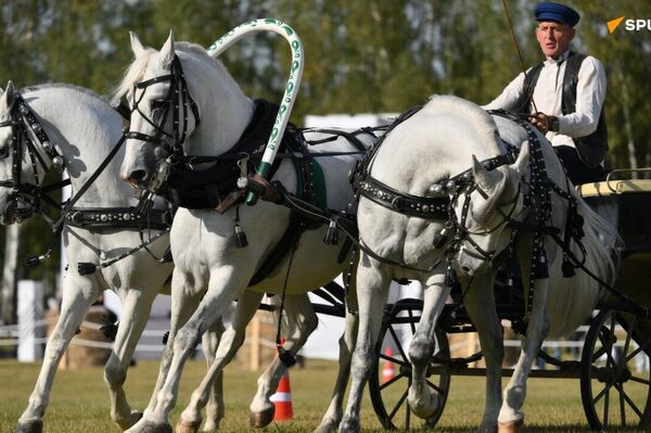 Symbole équestre de la Russie, la troïka brille à la Journée de Moscou Symbole équestre de la Russie, la troïka brille à la Journée de Moscou - Sputnik Afrique