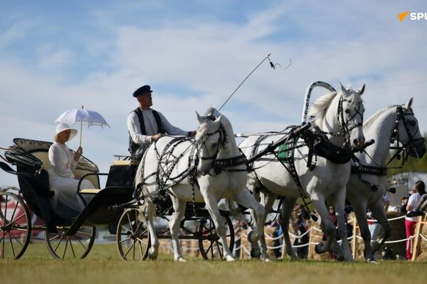 Symbole équestre de la Russie, la troïka brille à la Journée de Moscou Symbole équestre de la Russie, la troïka brille à la Journée de Moscou - Sputnik Afrique