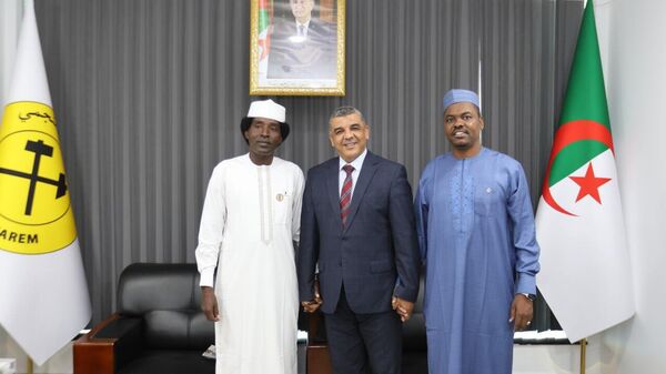 N'Djamena et Alger scellent un partenariat minier stratégique - Sputnik Afrique