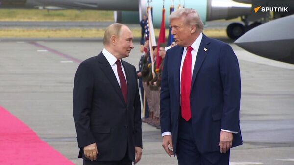 Trump Believes Trilateral Summit Involving Putin & Zelensky Could Take Place Soon - Sputnik Africa