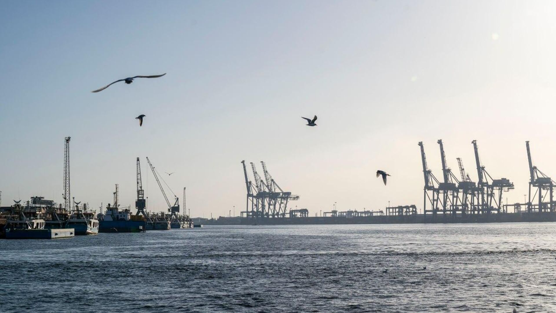 Russian Industrial Zone in Egypt Will Become Convenient Entry Point to Africa: Russian Deputy PM Russian Industrial Zone in Egypt Will Become Convenient Entry Point to Africa: Russian Deputy PM - Sputnik Africa, 1920, 15.09.2025