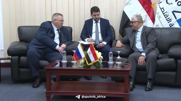 Companies in Russian Industrial Zone Near Suez Canal May Start Operating Before 2030, Official Says - Sputnik Africa