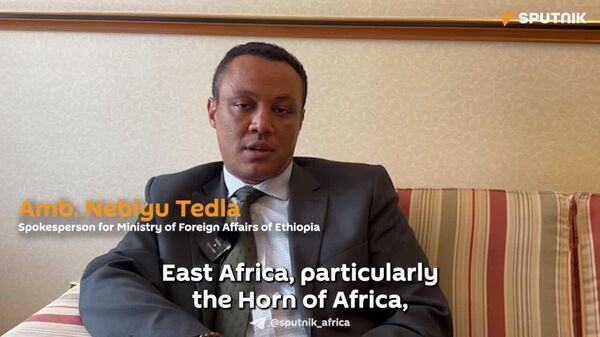 Ethiopia's GERD Project Benefits Beyond National Borders: Diplomat - Sputnik Africa