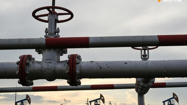Budapest Will Not Agree to Abandon Oil Purchases From Russia, Hungarian Minister Says - Sputnik Africa