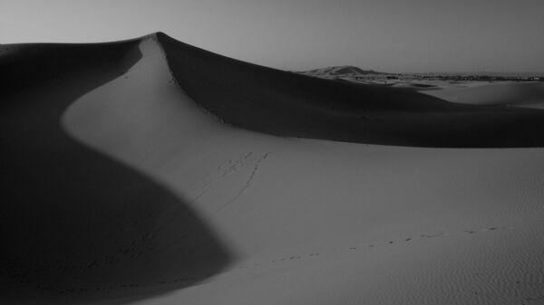 Climat-Afrique: «La thèse du réchauffement climatique est l’arnaque du siècle pour plusieurs raisons» - Sputnik Afrique