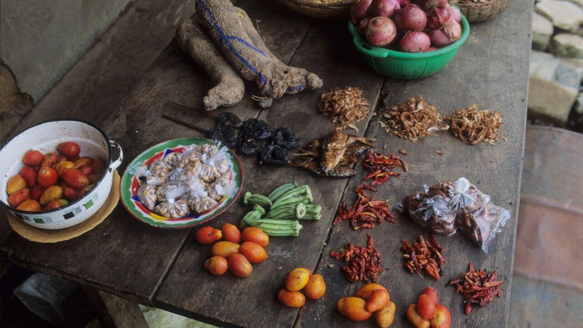 Nigeria to Drive Agricultural Investment & Food Security With New Incentives, Vice President Says Nigeria to Drive Agricultural Investment & Food Security With New Incentives, Vice President Says - Sputnik Africa, 1920, 17.09.2025