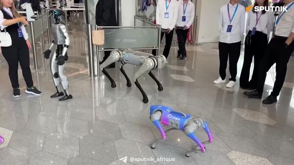 Gros plan sur le forum des BRICS Cloud City de Moscou - Sputnik Afrique