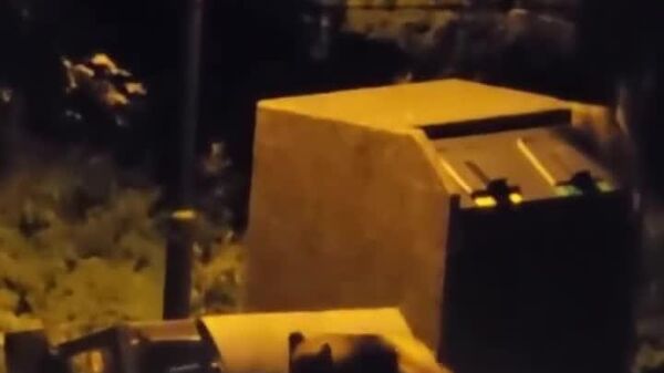 #viral | Imagine Heading Out to Take Out the Trash—Only to Have a Bear Leap Out of the Bin - Sputnik Africa