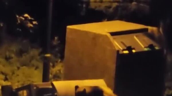 POV: Vous sortez vos poubelles et vous tombez nez à nez avec un ours - Sputnik Afrique