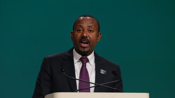 Ethiopia Seeks Sea Access Peacefully Through International Law, Prime Minister Says - Sputnik Africa